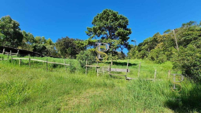Imagem Imóvel à Venda, 5.000 m² em Terra Preta - Mairiporã Imagem Imóvel à Venda, 5.000 m² em Terra Preta - Mairiporã