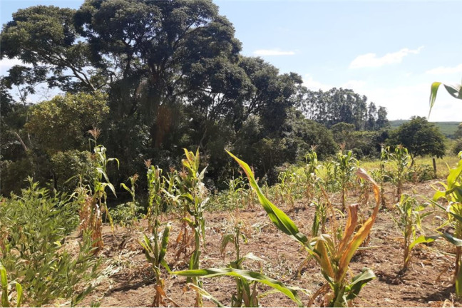 Imagem Terreno à Venda, 1.300 m² em Portal De Pirapora - Salto De Pirapora Imagem Terreno à Venda, 1.300 m² em Portal De Pirapora - Salto De Pirapora