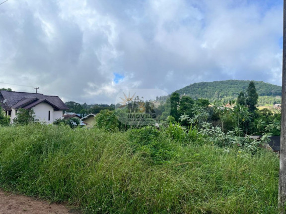 Terreno à Venda, 450 m² em Piá - Nova Petrópolis