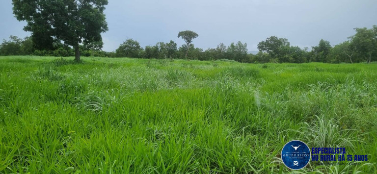 Imagem Fazenda à Venda, 30 m² em Setor Central - Crixás Imagem Fazenda à Venda, 30 m² em Setor Central - Crixás