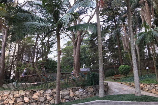 Imagem Imóvel com 3 Quartos à Venda, em Jardim Colombo - São Paulo Imagem Imóvel com 3 Quartos à Venda, em Jardim Colombo - São Paulo