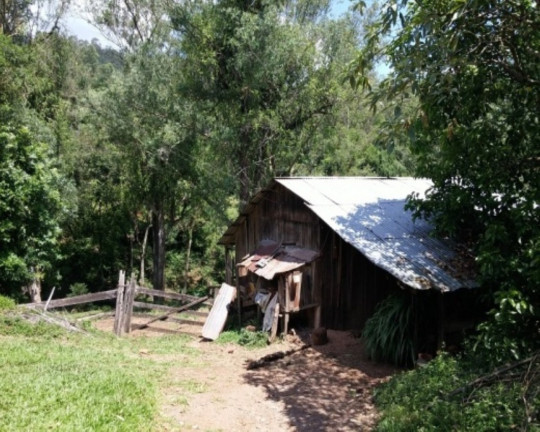 Imagem Imóvel com 4 Quartos à Venda, 88 m² em Vila Olinda - Nova Petrópolis Imagem Imóvel com 4 Quartos à Venda, 88 m² em Vila Olinda - Nova Petrópolis