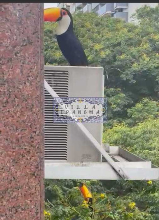 Imagem Apartamento com 4 Quartos à Venda, 170 m² em Tijuca - Rio De Janeiro Imagem Apartamento com 4 Quartos à Venda, 170 m² em Tijuca - Rio De Janeiro