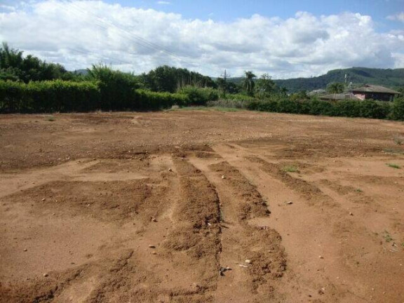 Imagem Terreno à Venda, 4.000 m² em Condomínio Jardim Das Palmeiras - Bragança Paulista Imagem Terreno à Venda, 4.000 m² em Condomínio Jardim Das Palmeiras - Bragança Paulista