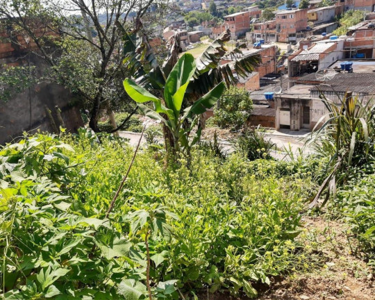 Imagem Imóvel à Venda, 255 m² em Parelheiros - São Paulo Imagem Imóvel à Venda, 255 m² em Parelheiros - São Paulo