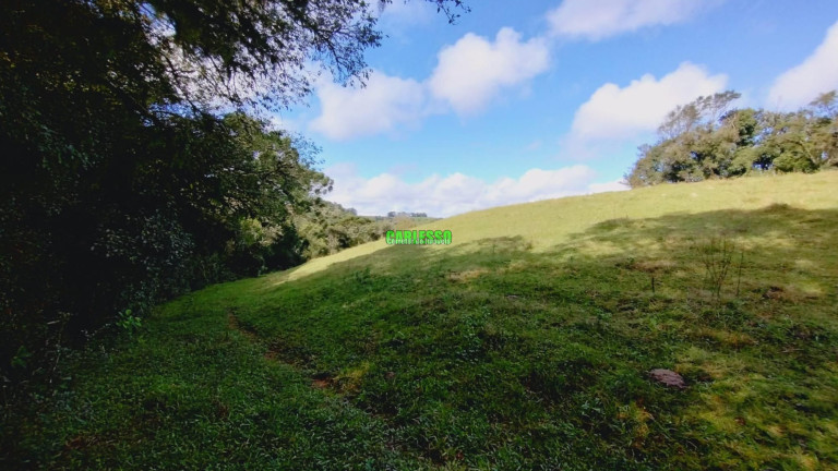 Terreno à Venda, 60.000 m² em Zona Rural - Ivorá