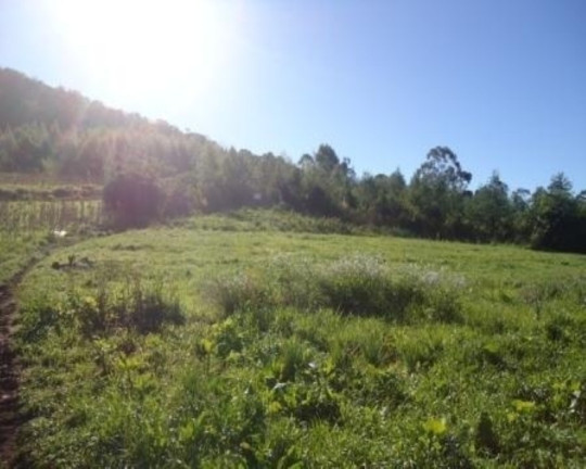 Imagem Terreno à Venda, 5 m² em Linha Nova - Linha Nova Imagem Terreno à Venda, 5 m² em Linha Nova - Linha Nova