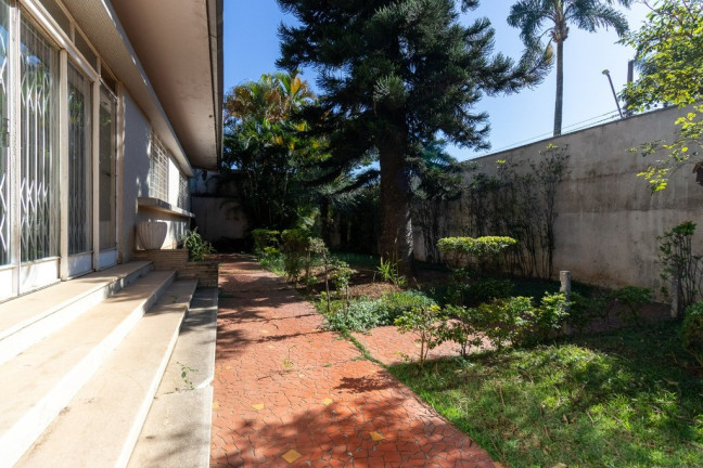 Imagem Casa com 3 Quartos à Venda,  em Chácara Monte Alegre - São Paulo