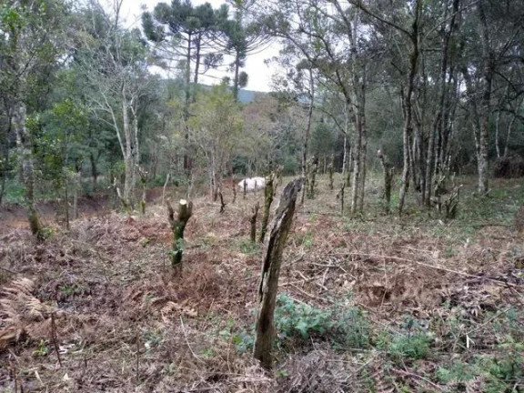 Imagem Imóvel com 4 Quartos à Venda, 24.200 m² em água Azul - Lapa
