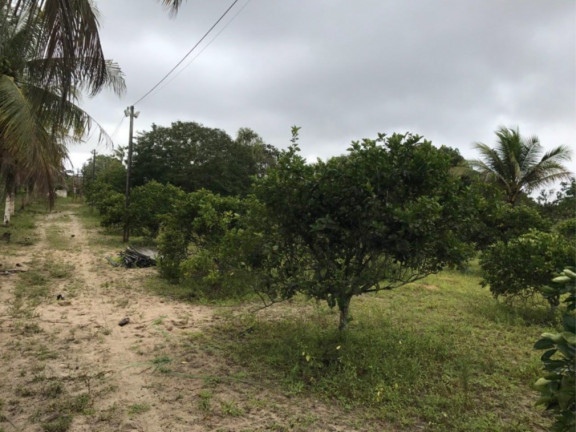 Imagem Fazenda à Venda, 29.077 m² em área Rural De Alagoinhas - Alagoinhas Imagem Fazenda à Venda, 29.077 m² em área Rural De Alagoinhas - Alagoinhas