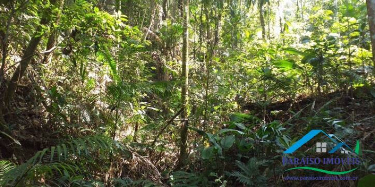 Imagem Chácara à Venda, 155 m² em Centro - Paraisópolis