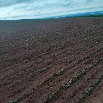 Imagem Chácara à Venda, 24 m² em Rural - Itatinga Imagem Chácara à Venda, 24 m² em Rural - Itatinga