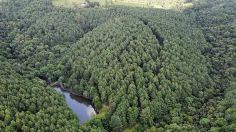 Imagem Fazenda à Venda,  em Residencial Impacel Ii - Arapoti