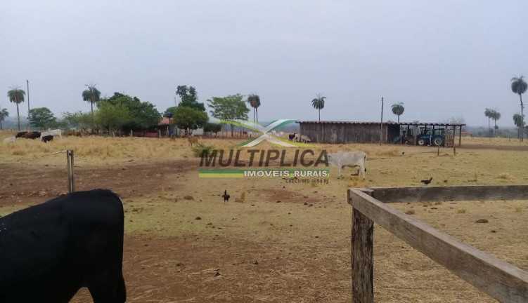 Imagem Fazenda à Venda, 1.452 m² em Alto Paraíso De Goiás Imagem Fazenda à Venda, 1.452 m² em Alto Paraíso De Goiás