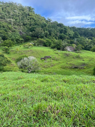 Imagem Fazenda à Venda, 200 m² em Centro - Leopoldina Imagem Fazenda à Venda, 200 m² em Centro - Leopoldina