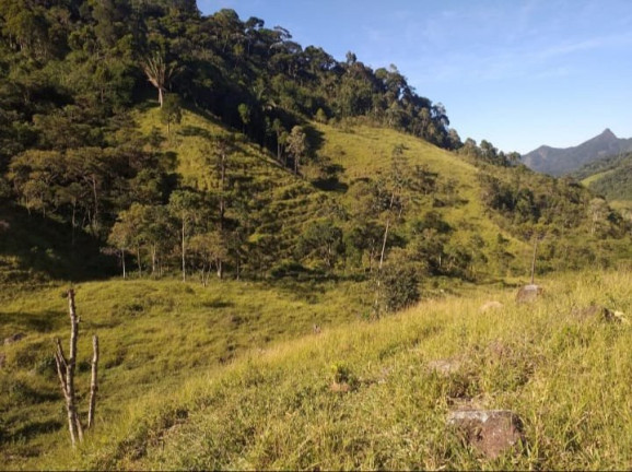 Imagem Fazenda à Venda, 726.000 m² em Tomba - Feira De Santana Imagem Fazenda à Venda, 726.000 m² em Tomba - Feira De Santana
