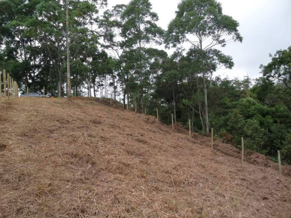 Imagem Terreno à Venda, 700 m² em Varginha - Nova Friburgo Imagem Terreno à Venda, 700 m² em Varginha - Nova Friburgo