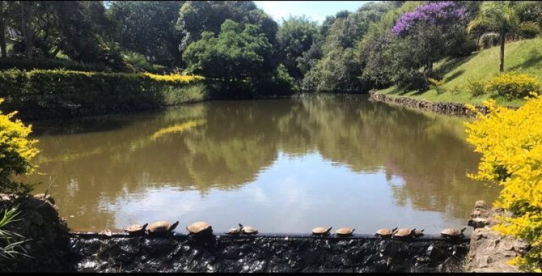 Imagem Imóvel com 3 Quartos à Venda,  em Granja Viana Ii - Cotia