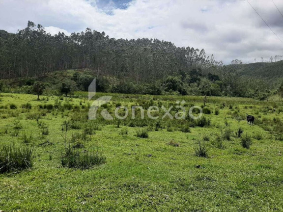 Imagem Fazenda à Venda, 600 m² em Cedro - Paraibuna Imagem Fazenda à Venda, 600 m² em Cedro - Paraibuna