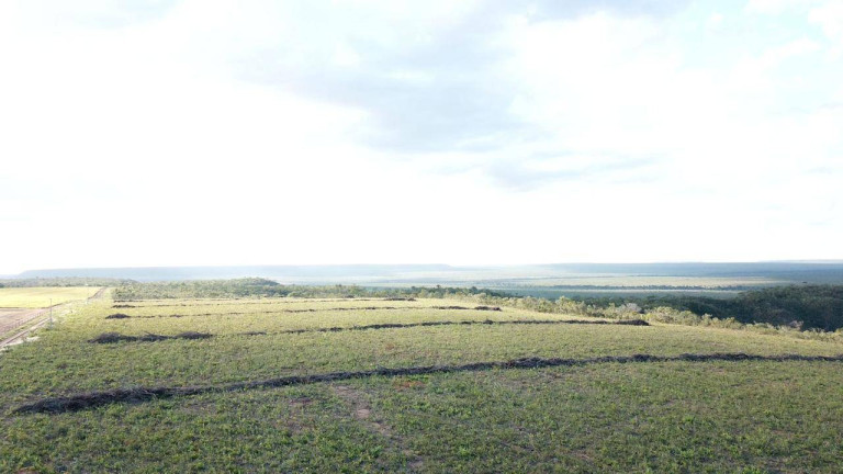 Fazenda à Venda, 1 m² em Mateiros
