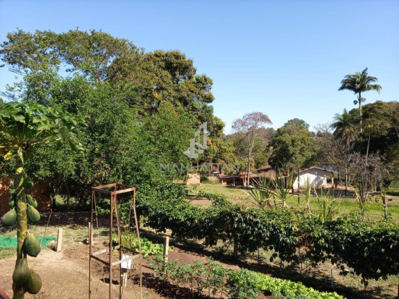 Imagem Imóvel com 3 Quartos à Venda, 400 m² em Iate Clube De Campinas - Americana Imagem Imóvel com 3 Quartos à Venda, 400 m² em Iate Clube De Campinas - Americana