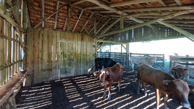 Imóvel com 2 Quartos à Venda, 920.000 m² em Zona Rural - Leoberto Leal