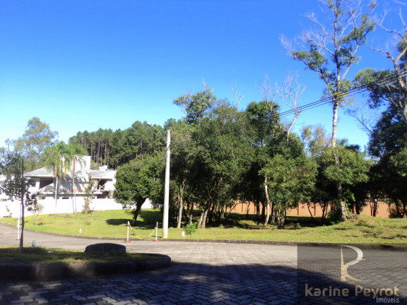 Imagem Terreno à Venda, 540 m² em Santo André - São Leopoldo Imagem Terreno à Venda, 540 m² em Santo André - São Leopoldo