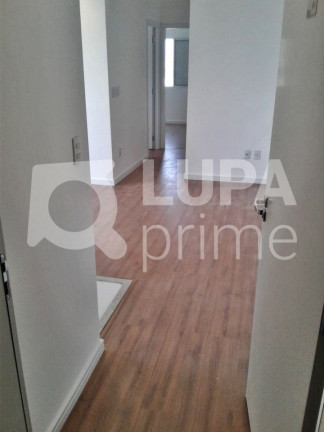 Apartamento com 2 Quartos à Venda, 50 m² em Vila Guilherme - São Paulo