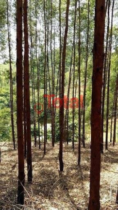 Imagem Terreno à Venda, 70.000 m² em Zona Rural - Marliéria Imagem Terreno à Venda, 70.000 m² em Zona Rural - Marliéria