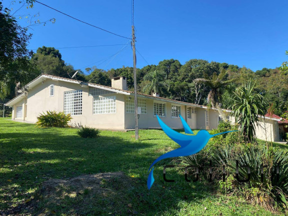 Imagem Chácara com 4 Quartos à Venda, 24.200 m² em Ribeirão Raso - Agudos Do Sul