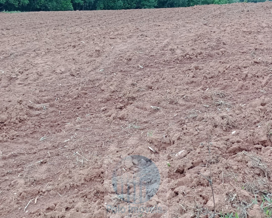 Imóvel com 3 Quartos à Venda, 270.000 m² em Pinhal - Jacuí