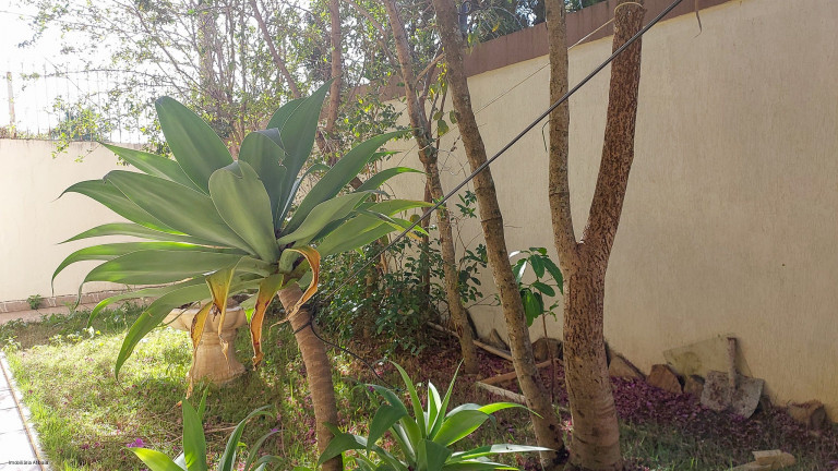 Imagem Imóvel com 4 Quartos à Venda,  em Jardim Paulista - Atibaia