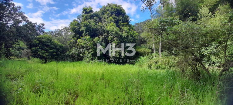Imagem Imóvel com 4 Quartos à Venda, 300 m² em Santa úrsula - Jaguariúna Imagem Imóvel com 4 Quartos à Venda, 300 m² em Santa úrsula - Jaguariúna