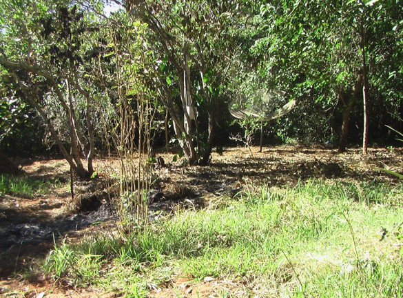 Imagem Imóvel com 1 Quarto à Venda, 21.000 m² em Zona Rural - Palmeiras (dois Irmãos Do Buriti)