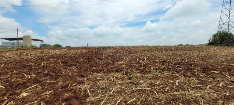 Imagem Imóvel à Venda, 242.000 m² em Centro - Itapetininga Imagem Imóvel à Venda, 242.000 m² em Centro - Itapetininga