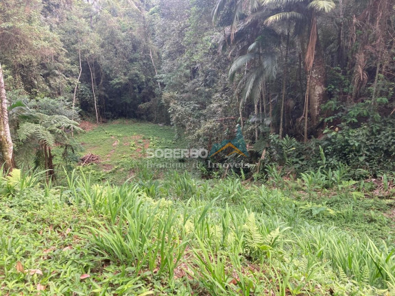 Imagem Terreno à Venda, 2.947 m² em Fazenda Inglesa - Petrópolis Imagem Terreno à Venda, 2.947 m² em Fazenda Inglesa - Petrópolis