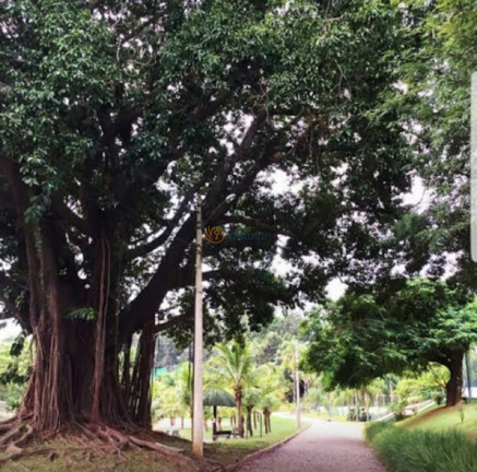 Terreno à Venda, 1.770 m² em Loteamento Alphaville Campinas - Campinas