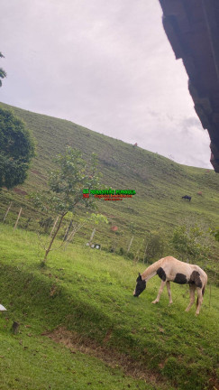 Imagem Chácara à Venda, 6 m² em área Rural De São José Dos Campos - São José Dos Campos Imagem Chácara à Venda, 6 m² em área Rural De São José Dos Campos - São José Dos Campos