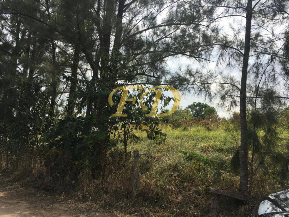 Imagem Terreno à Venda, 3.756 m² em Bom Jesus Dos Perdões Imagem Terreno à Venda, 3.756 m² em Bom Jesus Dos Perdões