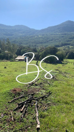Imagem Imóvel com 2 Quartos à Venda, 30.000 m² em Solitária Alta - Igrejinha Imagem Imóvel com 2 Quartos à Venda, 30.000 m² em Solitária Alta - Igrejinha