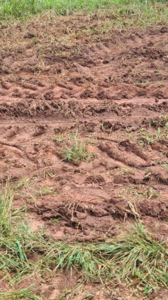 Imagem Fazenda à Venda, 181 m² em Rural - Araraquara Imagem Fazenda à Venda, 181 m² em Rural - Araraquara