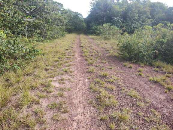Imagem Fazenda à Venda, em Marapanim Imagem Fazenda à Venda, em Marapanim