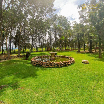 Imagem Fazenda à Venda, 1.200 m² em Taquaral - Itu