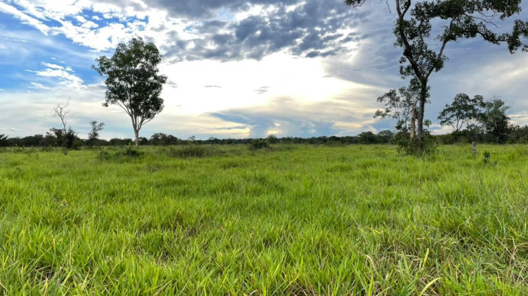 Imagem Fazenda à Venda, 500 m² em Zona Rural - Aliança Do Tocantins
