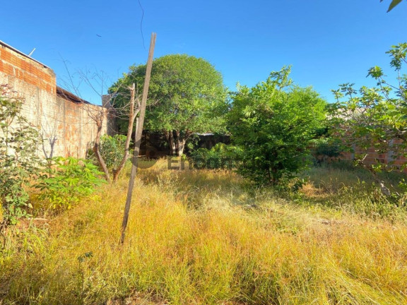 Imagem Casa com 2 Quartos à Venda, 460 m² em Vila Silvares - Birigui