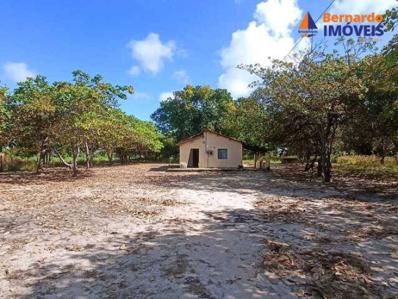 Imagem Chácara à Venda, 15 m² em Tijucussú - Cascavel Imagem Chácara à Venda, 15 m² em Tijucussú - Cascavel