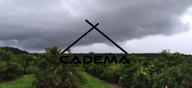 Imagem Fazenda à Venda, 300 m² em Area Rural - Lins