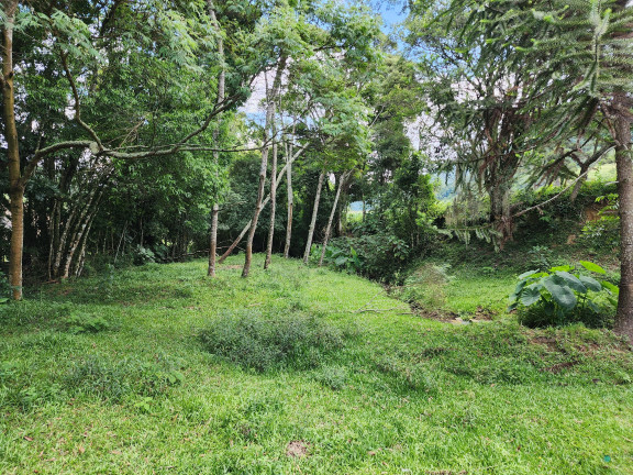 Imagem Imóvel à Venda, 130.932 m² em Zona Rural - Alfredo Wagner Imagem Imóvel à Venda, 130.932 m² em Zona Rural - Alfredo Wagner