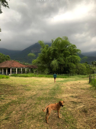 Imagem Fazenda à Venda, 840.000 m² em Mazomba - Itaguaí Imagem Fazenda à Venda, 840.000 m² em Mazomba - Itaguaí