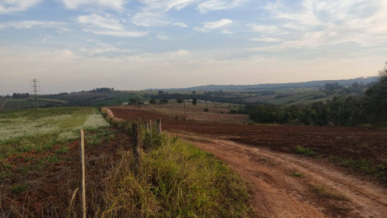 Imagem Fazenda à Venda, 1 m² em Morro Alto - Itapetininga Imagem Fazenda à Venda, 1 m² em Morro Alto - Itapetininga